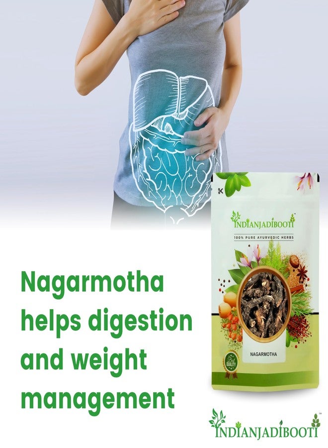 IndianJadiBooti Nagarmotha | Mustak - Cyperus Rotundus Rhizome - Nut Sedge Root - Tunga Gaddalu (100 Grams) - Image 4